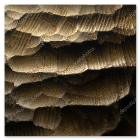 Deska kuchenna z grawerem prezentowym