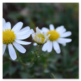 Odświeżenie logo – porównanie przed i po