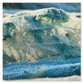 Polar z haftem na rękawie